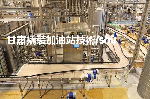甘肅撬裝加油站技術(shù)革新：探索以后化工廠拆除的創(chuàng)新處理方案！